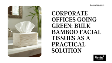 Corporate Offices Going Green: Bulk Bamboo Facial Tissues as a Practical Solution
