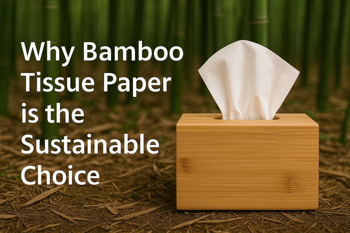 Why Bamboo Tissue Paper is the Sustainable Choice?