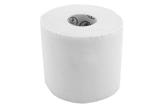 Toilet Roll 10 in 1 Regular